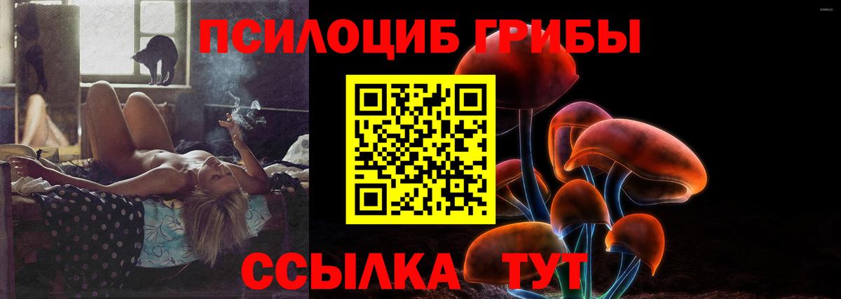 Псилоцибиновые грибы GOLDEN TEACHER Уссурийск